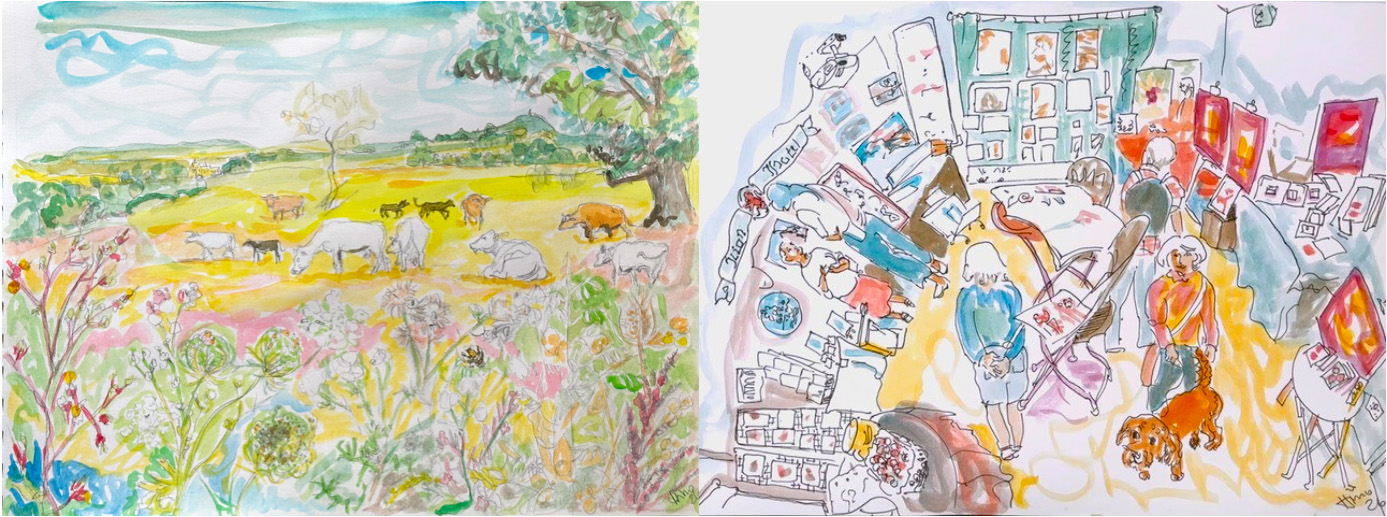 Sketches of Cows in a hot Somerset meadow / Our open studios exhibition